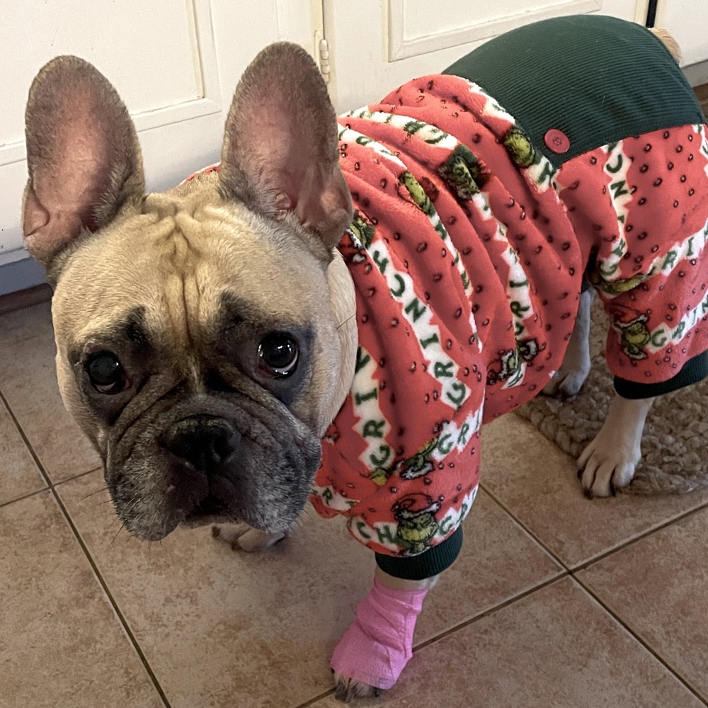 Meet your Posher, Nora